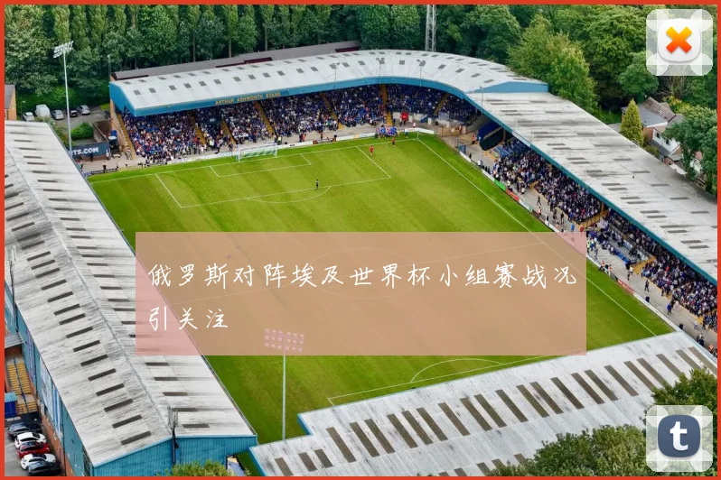 俄罗斯对阵埃及世界杯小组赛战况引关注